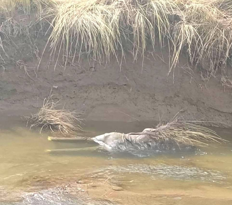 Azángaro | Hallan cuerpo que sería de Mauricio Tacora, arrastrado por el río Cangalli en Potoni Azángaro | Hallan cuerpo que sería de Mauricio Tacora, arrastrado por el río Cangalli en Potoni