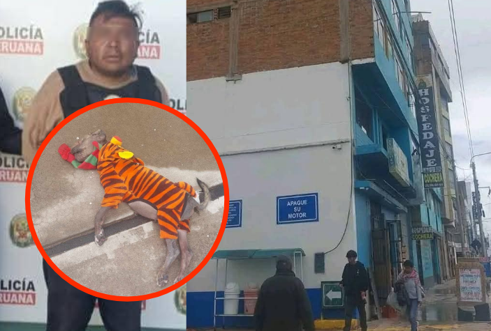 Juliaca | Condenan a 3 años de pena suspendida a hombre que lanzó a un perro desde el quinto piso Juliaca | Condenan a 3 años de pena suspendida a hombre que lanzó a un perro desde el quinto piso