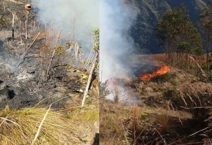 Sandia | Patambuco: incendio forestal amenaza zonas de Conelline y Chacapampa Sandia | Patambuco: incendio forestal amenaza zonas de Conelline y Chacapampa